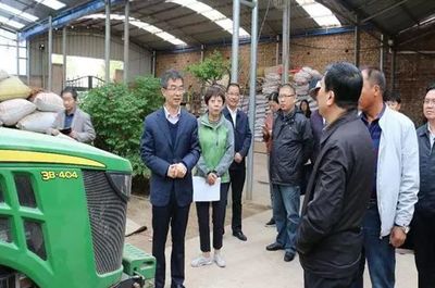 农业农村部政策与改革司领导到大通县调研